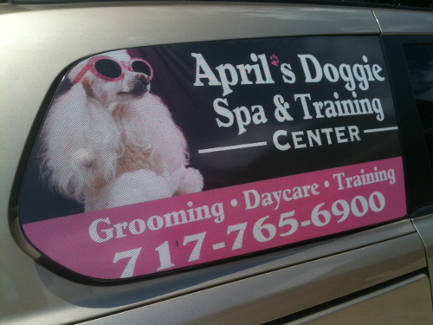 Aprils Doggie Spa Training